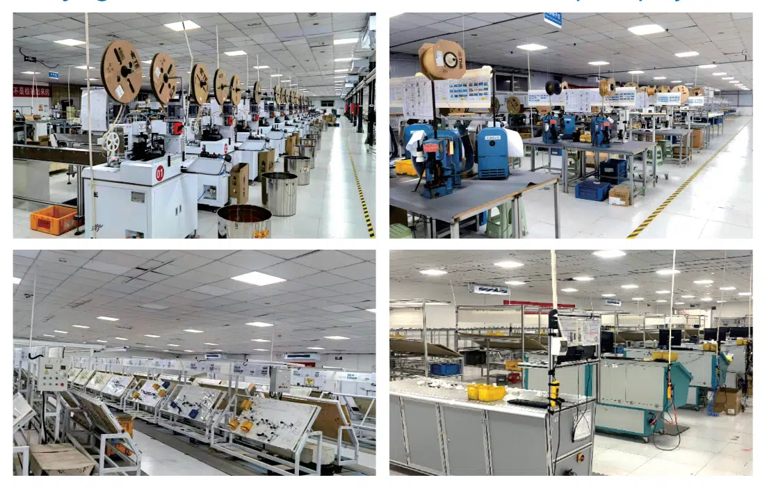 Wire Harness Custom Factory Site Photos